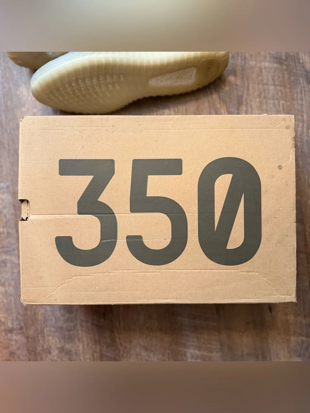 Adidas Yeezy Boost 350 V2 Mono Ice Blue White